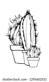 Cactus in a flower pot. Hand drawn line art with houseplant. Live doodle with prickly succulent.