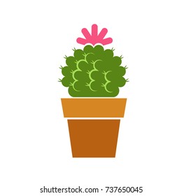 Cactus in flower pot icon 