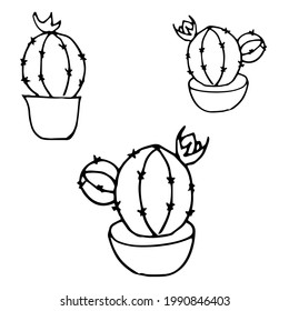 Cactus with flower in a pot primitive hand drawn, home plants, simple flat vector illustration