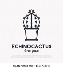Cactus with flower in pot thin line icon. Modern vector illustration of home plant.