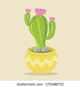 Cactus in a flower pot vector