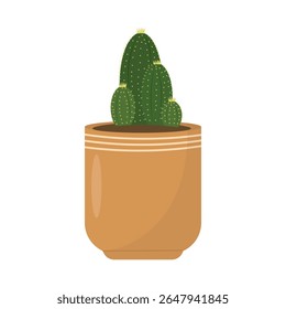 Cactus in a flower pot. Vector illustration isolated on white background.