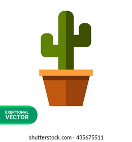 Cactus in flower pot3