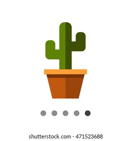 Cactus in flower pot3