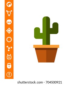 Cactus in flower pot3
