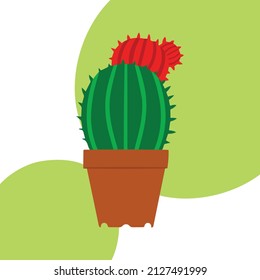 Cactus in flower potisolated on colored background. Green and red cactus. Vector illustration. Images for design of sites menus banners posters stationery clothes.