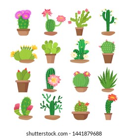 Cactus flower in pots bright home blooming cacti. Collection of exotic home decorative plants with flowers of various types and shapes. Summer desert tropical flora vector illustration isolated.