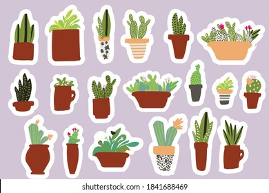 Cactus en macetas de flores. Estilo de ilustración plano. Paquete adhesivo