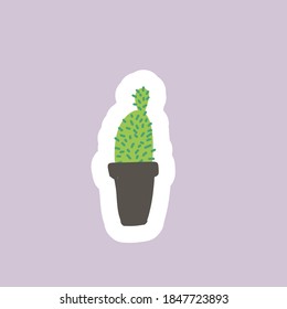 Cactus in flower pots. Flat illustration style. Sticker pack