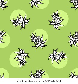 Cactus flower seamless vector pattern. Vector hand drawn green succulent cactus illustration. Seamless plant wallpaper. Beautiful seamless exotic pattern background. Minimalist print, texture, fabric.