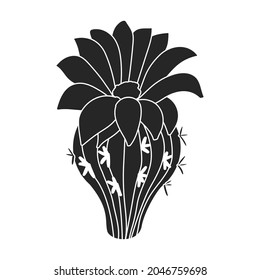 Cactus of flower vector icon.Black vector icon isolated on white background cactus of flower.