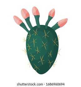 Cactus of flower vector icon.Cartoon vector icon isolated on white background cactus of flower.