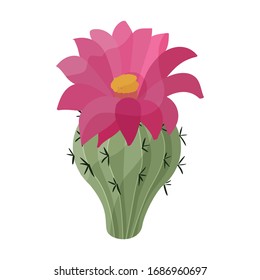 Cactus of flower vector icon.Cartoon vector icon isolated on white background cactus of flower.