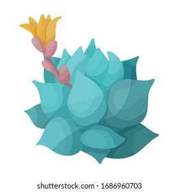 Cactus del icono del vector de flor.Icono vectorial de caricatura aislado en cactus de fondo blanco de flor.