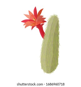 Cactus of flower vector icon.Cartoon vector icon isolated on white background cactus of flower.