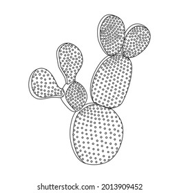 Cactus of flower vector icon.Outline vector icon isolated on white background cactus of flower.