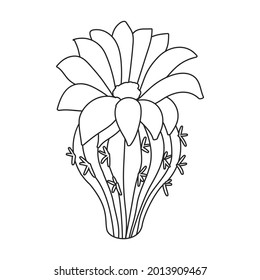 Cactus of flower vector icon.Outline vector icon isolated on white background cactus of flower.