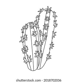 Cactus of flower vector icon.Outline vector icon isolated on white background cactus of flower.