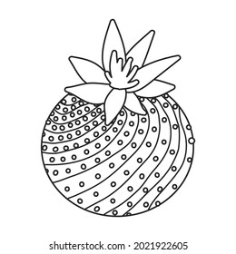 Cactus of flower vector icon.Outline vector icon isolated on white background cactus of flower.