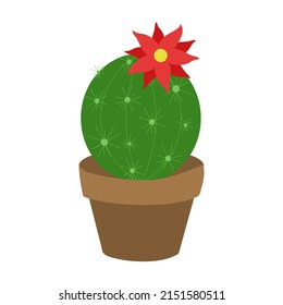 Cactus con flor. Ilustración vectorial.