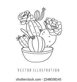 cactus with flower vector illustration