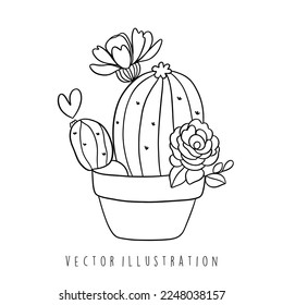 cactus with flower vector illustration