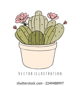 cactus con ilustración vectorial de flores