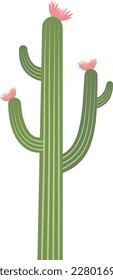 cactus with flower vector illustration