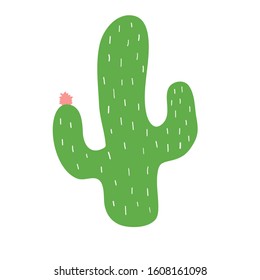 Cactus with flower. Vector illustration on white background.