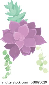 cactus flower violet