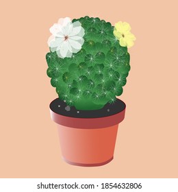 Cactus, with a flower. Yellow and white flowers on green cactus with pot.