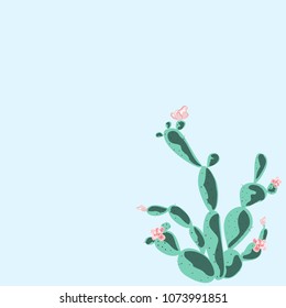 Cactus. Flowering cactus. Postcard, cover with cactus.