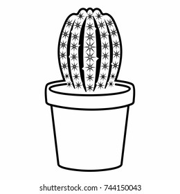 Cactus Flowerpot