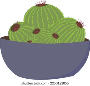 Cactus en la olla de flores. Vector de plantas exóticas. 