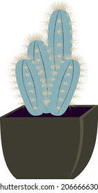 Cactus in a flowerpot flat