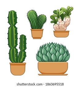 Cactus in flowerpot. Hand drawn set collection. vector illustration.
