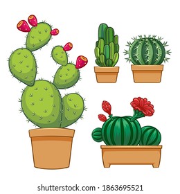 Cactus in flowerpot. Hand drawn set collection. vector illustration.