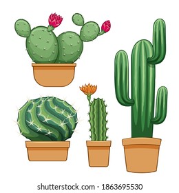 Cactus in flowerpot. Hand drawn set collection. vector illustration.