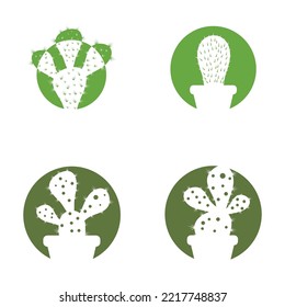 Cactus in flowerpot logo Vector illustration