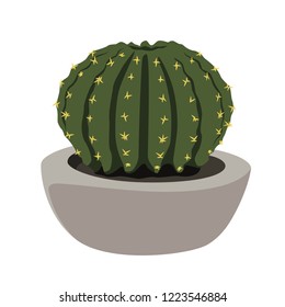 cactus in flowerpot vector illustration