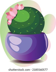 Cactus with flowers in a flower pot