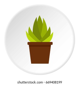Cactus with flowers icon in flat circle isolated on white vector illustration for web