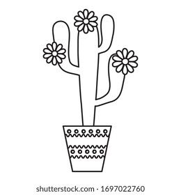 Cactus with flowers inside pot design, Plant desert nature tropical summer mexico and western theme Vector illustration