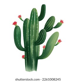 Cactus with Flowers Isolated Detailed Hand Drawn Painting Illustration