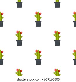 Cactus with flowers pattern seamless for any design vector illustration