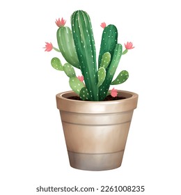 Cactus with Flowers in a Plant Pot Isolated Detailed Hand Drawn Painting Illustration