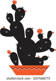 cactus with flowers in a pot