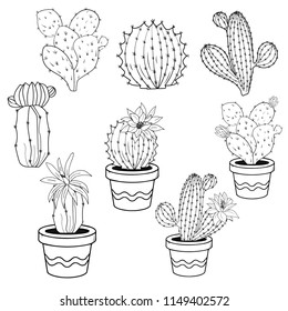 Cactus flowers in pots, black and white lines isolated on white background.