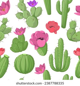 Cactus with flowers, seamless pattert. vector color illustrations 