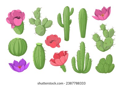 Cactus con flores, conjunto de ilustraciones de color vectorial aisladas en un fondo blanco